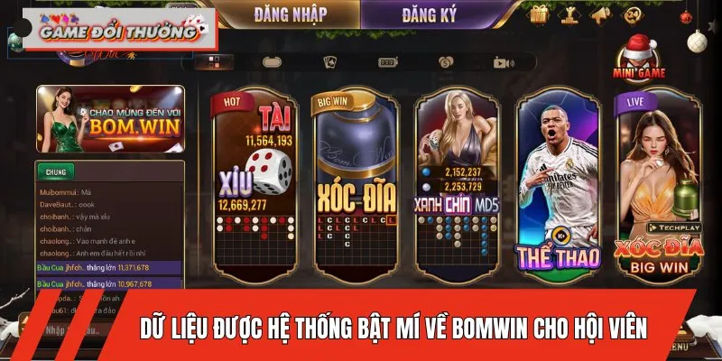 bomwin-du-lieu