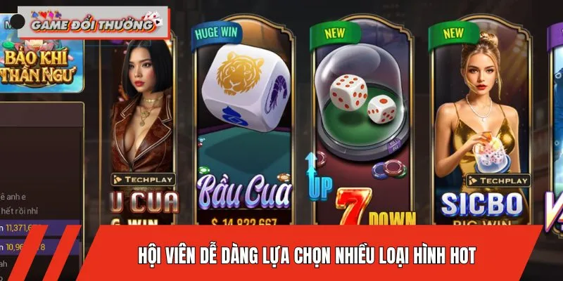bomwin-hoi-vien