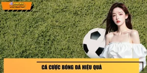 Cá Cược Bóng Đá Hiệu Quả - Bí Quyết Chơi An Toàn, Dễ Thắng