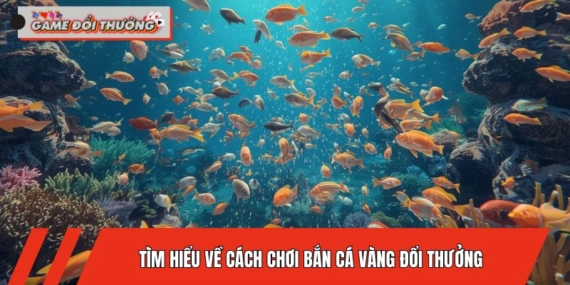 cach-choi-ban-ca-vang-doi-thuong-tim-hieu