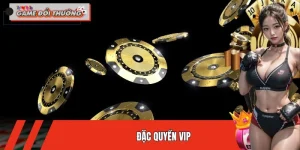 Đặc Quyền VIP - Quyền Lợi Dành Cho Thành Viên Cao Cấp